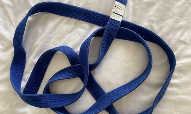 BJJ Blue Belt vs Average Person