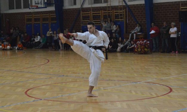 Tang Soo Do vs BJJ