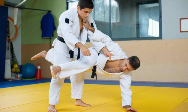 BJJ Purple Belt vs Judo Black Belt