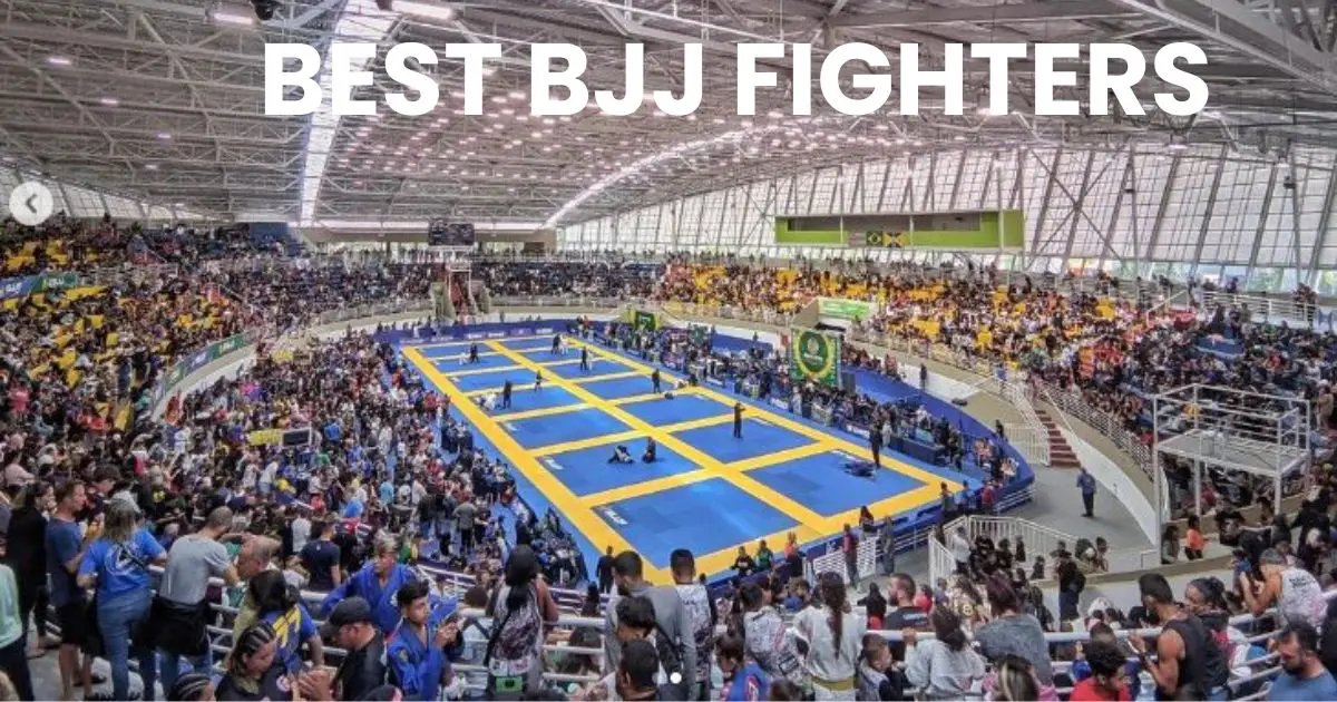 27 of the Best BJJ Fighters (Our Top Picks)